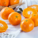 제주 산지직송 달콤한 감귤 소과/로얄과/중대과 1.5kg,2.5kg : 트렌드잇샵