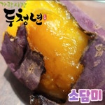 두청년 소담미 꿀고구마 : 가락시장 두청년
