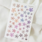 꽁스모스 (칼선X,무광투명) : 까꽁이의꼼지락