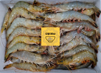자연산 대하 서해 제철 새우 2kg : 드랍더피쉬