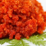 속초 중앙시장 양념젓갈 모음 청어알 오징어 명태회무침 창난 명란젓 : 파란별 반건조생선