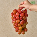 [dear food 단독공동구매] 프리미엄 레드마이하트 포도 1kg 2kg 고당도 포도 : DEARFOOD