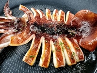 동명상회 국내산 구룡포 반건조 오징어 선물세트 (10마리, 1.4kg 내외) 피데기 : 동명상회 공식몰