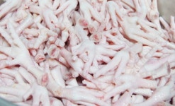 삼계닭발10kg 육수용닭발 : 굿통스토어