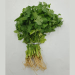 고수 500g : 백석농장