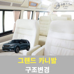 그랜드카니발 구조변경 : JMTS
