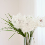 민들레 홀씨 조화 : 좋은날엔