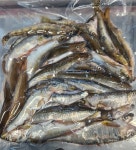 자연산민물잡어1kg 민물고기 민물잡고기 피리매운탕 민물잡어매운탕 민물매운탕 피래미 참마자 돌고기 모래무지 어탕재료 어탕용... 