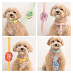 강아지 산책 양면 메세지 와펜 인식표 초경량 : 붐붐아트