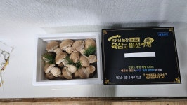 선물세트 특상품프리미엄 육삼고버섯 송화버섯 1kg 온유네농장  무농약  항암효과 면역력향상 비타민D풍부 베타카로닌 함유 : 오차르월드