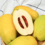 청도 생모과 3kg  햇모과 : 봉이네농수산