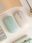 ASUS MOUSE MD100 / BT+2.4GHZ 블루투스 무소음 마우스 : 주식회사 에이블