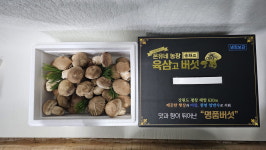 선물세트 고급형선물세트 평창 온유네농장 육삼고버섯 송화버섯 1kg 항암효과 면역력향상  무농약 온식구반찬 : 오차르월드