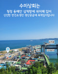 수미상회 국산 반건조 가자미 참가자미 진공포장 동해안(강원도 삼척발송) : 삼척수미상회