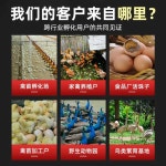 전자동 병아리 부화기 인큐베이터 부하기 계란 조류 : 서현 직구