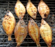 [섬마을어부] 참숯에 구운 가자미 고흥 수제 숯불생선구이 구운가자미 손질 참가자미 넙치 : 고흥숯불생선구이섬마을어부