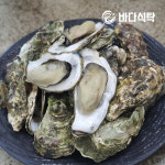 생산자 직송 통영석화 각굴 세척 제철 생굴 : 바다 식탁