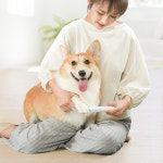 타미앤제니 강아지미용 애견미용기 미니 클리퍼 : 타미앤제니