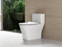 아메리칸스탠다드 시그니처 투피스 양변기 초절수변기 부속포함 CCAS3880 : 한스타일세라믹