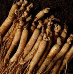 고려인삼7호, 수삼 생삼 20-30뿌리 약600g, 국내산,튀김 손님접대 제사상 : ASTRAL