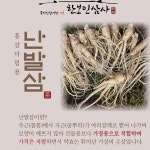 6년근 수삼 인삼 굵은 풍기인삼 홍삼다림용 : 한보인삼사