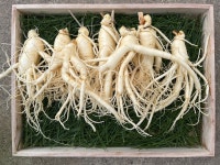 6년근 금산인삼 ③번 난발인삼 750g, 삼겹살 쌈, 하이볼 재료, 오쿠, 요리 용 : 인삼댁