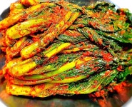 고창 고들빼기 김치 여수돌산갓 꼬들빼기 1kg : 더주는농장