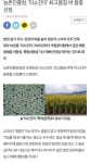 24년 햅쌀 출시 특가10키로 일품 미소진미 영호진미 일품 : 농장 귀농멍위키