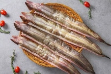 국내산 반건조 장어 4~5미 : 신가네 수산