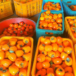 정원에서 사랑 받고 자란 왕주먹 대봉감10kg : 다피그라운드