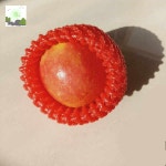 과일포장지 완충재 포장 충격방지 사과 추석 선물세트 포도 그물망 망고 보호망 : HILLZO-LYU