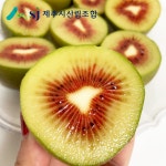 키위 레드키위 참다래 제주키위 고당도과일 선물세트 : 제주시산림조합임산물유통센터