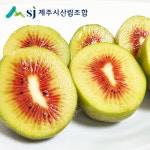 키위 레드키위 참다래 제주키위 고당도과일 선물세트 : 제주시산림조합임산물유통센터