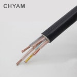 1 미터 하드 와이어 2/3/4/5 핀 10mm2 전원 케이블 DIY 연결 구리 코어 3 상 4 선 10 평방 YJV-0.6/1KV : 하하호호마켓77