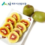 키위 레드키위 참다래 제주키위 고당도과일 선물세트 : 제주시산림조합임산물유통센터