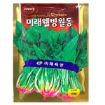 웰빙 월동시금치씨앗 40g 겨울시금치씨 종자 : 씨앗의모든것