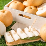 [23년수확] 천안 성환배 신고배 12~14과 7kg내외(가정용) : 공영쇼핑