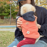 강아지명품옷 잼잼 댕댕이 후드티S 포메라니안옷 비숑옷 뭉미샵 : 뭉미샵