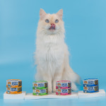 동원 뉴트리플랜 습식 고양이캔 통영 방어 90g 24캔 고양이 대용량 간식 : 뉴트리플랜