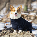 강아지 암컷 올인원 배막힘 후리스 올인원 강아지 겨울옷 : PeTish