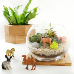 다육 테라리움 만들기 DIY 키트 동물 시리즈(15CM) : 비오스샵