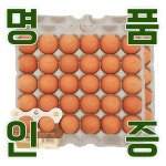 KB farm 계란 명품인증 달걀 왕란 60구 : 경북농장계란