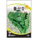 돌산갓 10g / 씨앗 종자 쌈채소 김장 나물 텃밭 : 초록스타