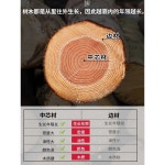 수동 제환기 환 제조기 원목 알약 밀대 한약 건강원 : 순성무역