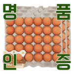 KB farm 계란 명품인증 무항생제 달걀 왕란 90구 : 경북농장계란