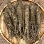 국내산 제주산 더덕 2kg 특품 : 우니트리