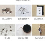 벽지부분보수 벽지 땜빵 벽지수선 복구 꾸미기 : 루체윈윈