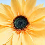해바라기 페이퍼플라워 : 꽃과 함께 sunshine
