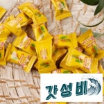 GS lot100 코코아랜드 475g 2개 : 동해소리