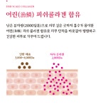 뉴랜드올네이처(알로에),코렉티브 EX케어 스킨 : 뉴랜드올네이처 서산중앙지사